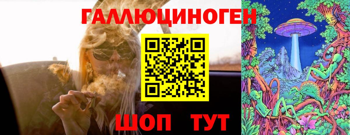 Ногинск  Псилоцибиновые грибы MAGIC MUSHROOMS  Вход с VPN 