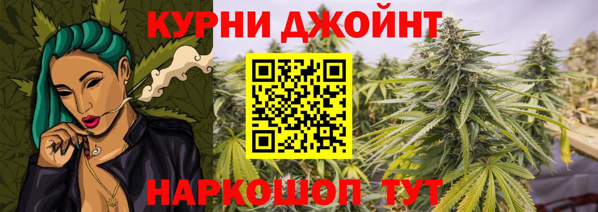 Конопля OG Kush Ногинск